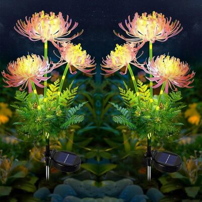 NONAME Lampe Solaire Exterieures Jardin 2 Pcs Lumiere Solaire Exterieur Decorative, Étanche Lumière Fleur Solaire Led Fleurs Pour Pelouse Patio Parterre Jardin Décoration - Publicité NONAME Lampe Solaire Exterieures Jardin 2 Pcs Lumiere Solaire Exterieur Decorative, Étanche Lumière Fleur Solaire Led Fleurs Pour Pelouse Patio Parterre Jardin Décoration - Publicité