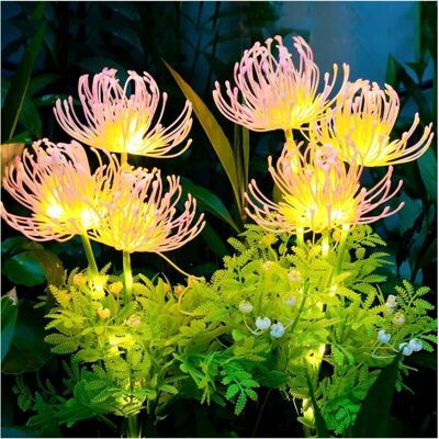 PELTOR 2 Pièces Fleurs Lumiere Solaire Exterieur, Ip65 Imperméable Lumiere Led, Decoration Jardin Exterieur, Lumière Solaire Extérieure Pour Balcon, Terrasse, Chemin, Pelouse - Publicité PELTOR 2 Pièces Fleurs Lumiere Solaire Exterieur, Ip65 Imperméable Lumiere Led, Decoration Jardin Exterieur, Lumière Solaire Extérieure Pour Balcon, Terrasse, Chemin, Pelouse - Publicité