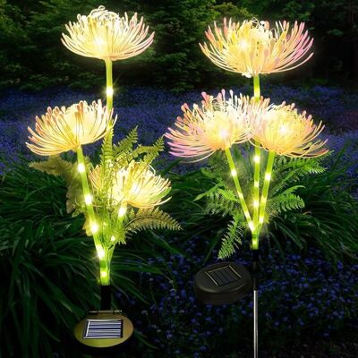 ACKERMAN Lampe Solaire De Jardin Extérieur, 2 Pièces De Lampe Solaire Extérieure De Fleur, Lumière Led Étanche Ip65, Décoration De Jardin Extérieur, Lumière Solaire Extérieure Pour Balcon, Patio, Chemin, Pelou - Publicité ACKERMAN Lampe Solaire De Jardin Extérieur, 2 Pièces De Lampe Solaire Extérieure De Fleur, Lumière Led Étanche Ip65, Décoration De Jardin Extérieur, Lumière Solaire Extérieure Pour Balcon, Patio, Chemin, Pelou - Publicité