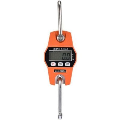 BRAST Peson Electronique 300kg Balance Crochet Suspendu Dynamomètre Lcd Crochet Peseur Industrielle Pèse Poids 300kg/600lbs - Publicité BRAST Peson Electronique 300kg Balance Crochet Suspendu Dynamomètre Lcd Crochet Peseur Industrielle Pèse Poids 300kg/600lbs - Publicité