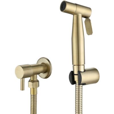 Vision Tigrezy-pulvérisateur De Toilettes Pour Bidet Et De Toilettes En Acier Inoxydable, Kit De Pulvérisateur De Bidet, Pulvérisateur De Robinetterie Pulvérisateur De Wc(or) - Publicité Vision Tigrezy-pulvérisateur De Toilettes Pour Bidet Et De Toilettes En Acier Inoxydable, Kit De Pulvérisateur De Bidet, Pulvérisateur De Robinetterie Pulvérisateur De Wc(or) - Publicité