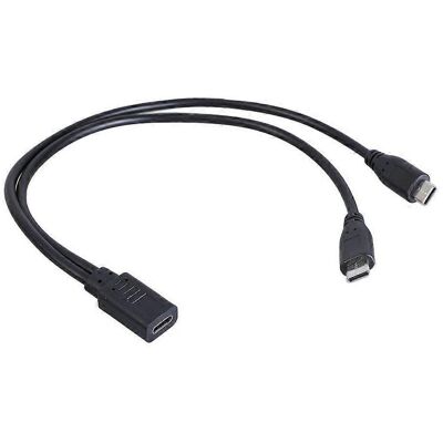 FLAMMKRAFT Câble Répartiteur En Y Portable Usb-c Femelle Vers Double Usb-c Mâle - Publicité FLAMMKRAFT Câble Répartiteur En Y Portable Usb-c Femelle Vers Double Usb-c Mâle - Publicité