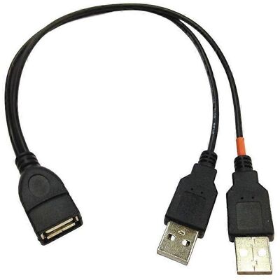 FLAMMKRAFT Câble Répartiteur Usb A Femelle Vers 2 Mâles Pour Le Chargement Et Le Transfert De Données De 2 Appareils - Publicité FLAMMKRAFT Câble Répartiteur Usb A Femelle Vers 2 Mâles Pour Le Chargement Et Le Transfert De Données De 2 Appareils - Publicité
