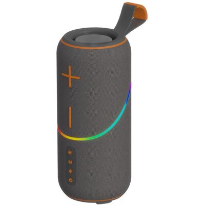 OEM Enceinte Bluetooth Portable D'Extérieur 20 W - Caisson De Basses, Son Haute Fidélité Harman, Éclairage Led Rgb Et Longue Autonomie - Grise - Publicité OEM Enceinte Bluetooth Portable D'Extérieur 20 W - Caisson De Basses, Son Haute Fidélité Harman, Éclairage Led Rgb Et Longue Autonomie - Grise - Publicité