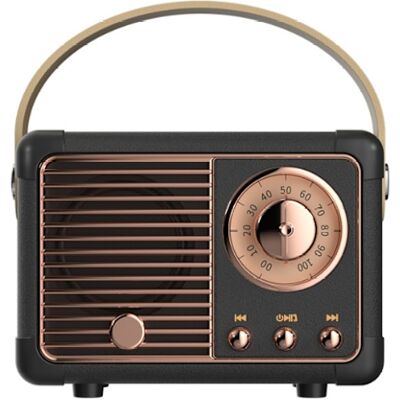 OEM Enceinte Bluetooth Rétro, Radio Fm Rétro, Bluetooth 5.0 Sans Fil, Carte Tf, Noire. Publicité OEM Enceinte Bluetooth Rétro, Radio Fm Rétro, Bluetooth 5.0 Sans Fil, Carte Tf, Noire. Publicité