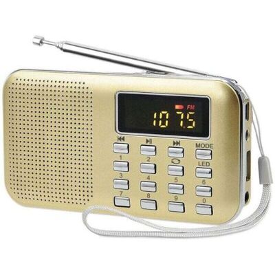 OEM Poste Radio Portable, Radio Fm Am Piles Et Secteur, Mp3, Enceinte, Support Tf Card/usb, Torch, Convient (doré) - Publicité OEM Poste Radio Portable, Radio Fm Am Piles Et Secteur, Mp3, Enceinte, Support Tf Card/usb, Torch, Convient (doré) - Publicité