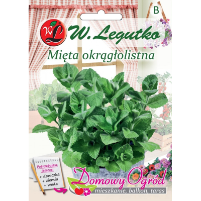 OEM Graines De Menthe À Feuilles Rondes, 0,1 G - Publicité OEM Graines De Menthe À Feuilles Rondes, 0,1 G - Publicité