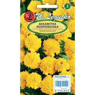 OEM Graines De Souci Jaune, 1 G - Publicité OEM Graines De Souci Jaune, 1 G - Publicité