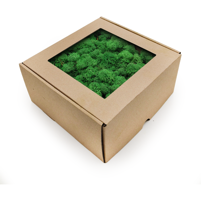 OEM Mousse De Renne - Norvège - Herbe D'Ombre 250 G Net - Publicité OEM Mousse De Renne - Norvège - Herbe D'Ombre 250 G Net - Publicité