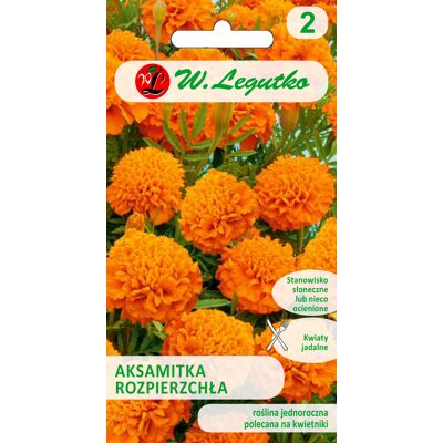 OEM Graines De Souci Orange, 1 G - Publicité OEM Graines De Souci Orange, 1 G - Publicité
