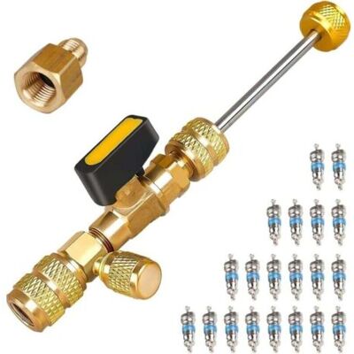 ABYSSE Kit D'Outils Professionnels De Démontage Et D'Installation De Noyau De Valve Sae Double Taille 1/4 - Publicité ABYSSE Kit D'Outils Professionnels De Démontage Et D'Installation De Noyau De Valve Sae Double Taille 1/4 - Publicité