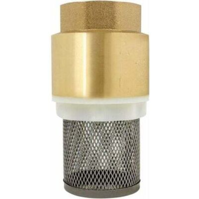 OEM Clapet Crepine Anti Retour 1/2、3/4、1、2 Pouce - Vanne Non Retour Clapet Anti-retour Pompe (2 Pouce)--inhhub - Publicité OEM Clapet Crepine Anti Retour 1/2、3/4、1、2 Pouce - Vanne Non Retour Clapet Anti-retour Pompe (2 Pouce)--inhhub - Publicité