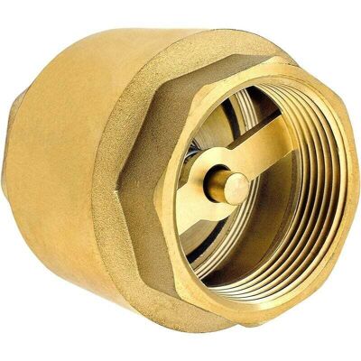 Melissa Ersandy – Clapet Anti-retour 1 Pouce Laiton Antirouille – Filetage Bsp – Étanchéité Parfaite Pour Installations Plomberie – Résistance Haute Pression - Publicité Melissa Ersandy – Clapet Anti-retour 1 Pouce Laiton Antirouille – Filetage Bsp – Étanchéité Parfaite Pour Installations Plomberie – Résistance Haute Pression - Publicité
