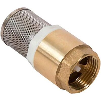 OEM 88 X 37mm Clapet Crepine Anti Retour 1'' - Avec Crépine En Acier Inoxydable Et Vanne À Sens Unique/vanne Non Retour/clapet Anti-retour Pompe (non Queue) - Publicité OEM 88 X 37mm Clapet Crepine Anti Retour 1'' - Avec Crépine En Acier Inoxydable Et Vanne À Sens Unique/vanne Non Retour/clapet Anti-retour Pompe (non Queue) - Publicité