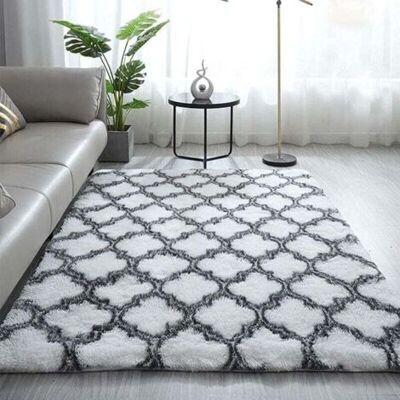 ABYSSE Tapis De Décoration, Tapis Shaggy Longues Tapis Antidérapant Pour Salon Chambre Canapé Tapis De Plancher,super Doux, (blanche Lanterne, 60 120cm) - Publicité ABYSSE Tapis De Décoration, Tapis Shaggy Longues Tapis Antidérapant Pour Salon Chambre Canapé Tapis De Plancher,super Doux, (blanche Lanterne, 60 120cm) - Publicité