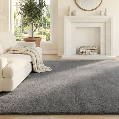 HEAT Tapis De Salon 160 X 120 Cm, À Poils Longs, Lavable En Machine, Antidérapant, Imitation Fourrure, Gris Clair - Publicité HEAT Tapis De Salon 160 X 120 Cm, À Poils Longs, Lavable En Machine, Antidérapant, Imitation Fourrure, Gris Clair - Publicité