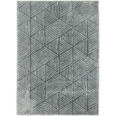 SANS MARQUE Tapis De Salon Moderne, Lavable, 150 X 80 Cm, Gris Foncé - Publicité SANS MARQUE Tapis De Salon Moderne, Lavable, 150 X 80 Cm, Gris Foncé - Publicité