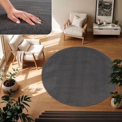 SCORPIO 1 Tapis Rond Anthracite 80 Cm Design Moderne Lavable Chauffage Sol Salon - Publicité SCORPIO 1 Tapis Rond Anthracite 80 Cm Design Moderne Lavable Chauffage Sol Salon - Publicité