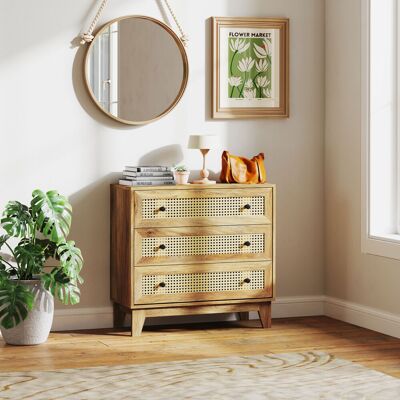OEM Commode 3 Tiroirs Meuble De Rangement Cannage En Rotin Aspect Bois Clair 80 X 35 X 76 Cm - Publicité OEM Commode 3 Tiroirs Meuble De Rangement Cannage En Rotin Aspect Bois Clair 80 X 35 X 76 Cm - Publicité