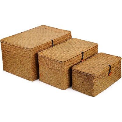 Apex Un Ensemble De Trois Boîtes De Rangement Tressées, De Grande, Moyenne Et Petite Taille, Chacune Avec Un Couvercle. Publicité Apex Un Ensemble De Trois Boîtes De Rangement Tressées, De Grande, Moyenne Et Petite Taille, Chacune Avec Un Couvercle. Publicité