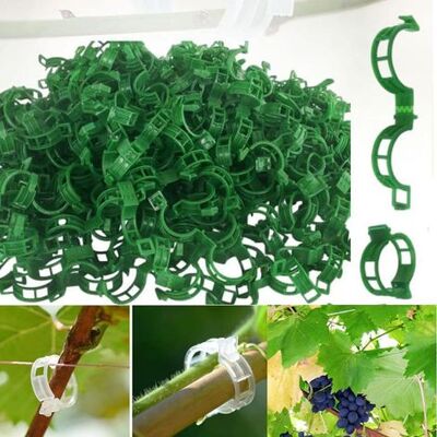 Zanussi (100, Vert) Plant Support Clips De Jardin Tomate Clips Support, Clips De Support Pour Plantes De Jardin Clips Pour Les Légumes Tomate Vigne Tiges De Croissance Droit Et Plus Sain - Publicité Zanussi (100, Vert) Plant Support Clips De Jardin Tomate Clips Support, Clips De Support Pour Plantes De Jardin Clips Pour Les Légumes Tomate Vigne Tiges De Croissance Droit Et Plus Sain - Publicité