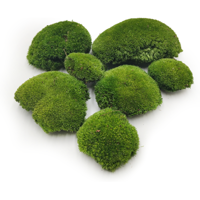 OEM Mousse Coussin - Vert Foncé Naturel - 0,1 M² (40 X 25 Cm) - Suède - Publicité OEM Mousse Coussin - Vert Foncé Naturel - 0,1 M² (40 X 25 Cm) - Suède - Publicité