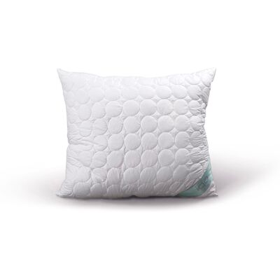 OEM Coussin En Aloès Sen 70 X 80 Cm - Publicité OEM Coussin En Aloès Sen 70 X 80 Cm - Publicité