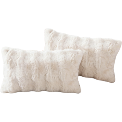 Generic Lot De 2 Doux Peluche Laine Courte Toison Décoratif Housses De Coussin Luxe Style Pour Canapé Chambre Blanc 30 X 50 Cm - Publicité Generic Lot De 2 Doux Peluche Laine Courte Toison Décoratif Housses De Coussin Luxe Style Pour Canapé Chambre Blanc 30 X 50 Cm - Publicité