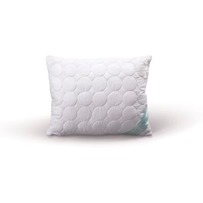 OEM Coussin En Aloès Sen 50 X 60 Cm - Publicité OEM Coussin En Aloès Sen 50 X 60 Cm - Publicité