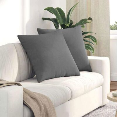 OEM 2 Coussins Canapé, 60 X 60 Cm, Gris Foncé, Tissu Doux Et Respirant, Housse Amovible, Pour Salon Moderne Ou Classique - Publicité OEM 2 Coussins Canapé, 60 X 60 Cm, Gris Foncé, Tissu Doux Et Respirant, Housse Amovible, Pour Salon Moderne Ou Classique - Publicité