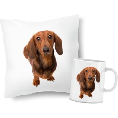 OEM Ensemble Coussin Et Tasse Teckel - Publicité OEM Ensemble Coussin Et Tasse Teckel - Publicité