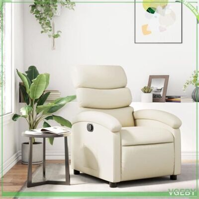 OEM Fauteuil Inclinable - 3205845 - Similicuir Crème - Inclinaison Manuelle 135° - Poche Latérale - Publicité OEM Fauteuil Inclinable - 3205845 - Similicuir Crème - Inclinaison Manuelle 135° - Poche Latérale - Publicité