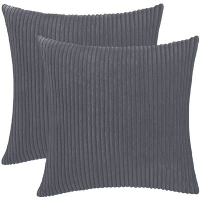 FOGSHIELD Housse Coussin Velours - 2 Pièces, Housse Coussin Velours Gris Foncé 40x40cm - Rayée - Publicité FOGSHIELD Housse Coussin Velours - 2 Pièces, Housse Coussin Velours Gris Foncé 40x40cm - Rayée - Publicité