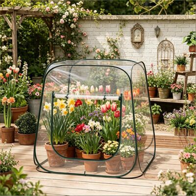 ACKERMAN Petite Serre Avec Fermeture Éclair En Forme De U, Serre Pliable, Tente De Culture Pour Plantes, Protection Optimale Des Plantes (uniquement Avec La Serre) - Publicité ACKERMAN Petite Serre Avec Fermeture Éclair En Forme De U, Serre Pliable, Tente De Culture Pour Plantes, Protection Optimale Des Plantes (uniquement Avec La Serre) - Publicité