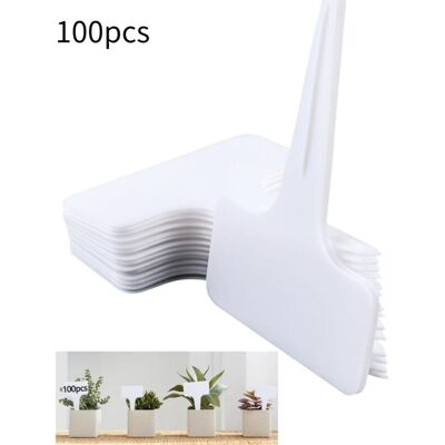 Scotch Aiperq Set De 100 Étiquettes Pour Plantes, Etiquette Potager, Etiquette Jardin Exterieur. Idéal Pour Jardins, Vergers Ou Fermes. Publicité Scotch Aiperq Set De 100 Étiquettes Pour Plantes, Etiquette Potager, Etiquette Jardin Exterieur. Idéal Pour Jardins, Vergers Ou Fermes. Publicité