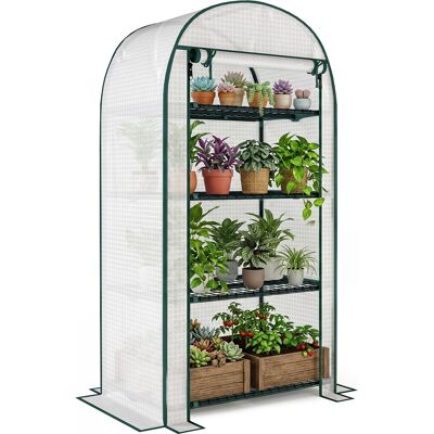 ARRIGONI Serre De Jardin Serre De Balcon Résistante Aux Uv Porte Enroulable 4 Étagères Couverture En Pe 80 X 50 X 160 Cm Blanc - Publicité ARRIGONI Serre De Jardin Serre De Balcon Résistante Aux Uv Porte Enroulable 4 Étagères Couverture En Pe 80 X 50 X 160 Cm Blanc - Publicité