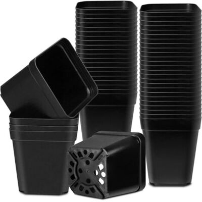 ABYSSE Pots Pour Semis 7cm – Lot De 200 Godets En Plastique Réutilisables – Résistants À La Déformation – Pour Plantation Intérieure Et Extérieure - Publicité ABYSSE Pots Pour Semis 7cm – Lot De 200 Godets En Plastique Réutilisables – Résistants À La Déformation – Pour Plantation Intérieure Et Extérieure - Publicité