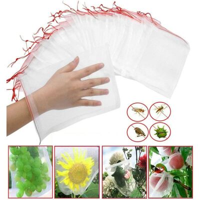 Vision 100 Pcs Sac De Protection Fruits Résille Nylon Filets Pour Jardin Sac De Protection De Raisin 30 X 20 Cm Pour La Protection Des Végétaux Évitez Les Insectes Oiseaux Outils De Jardin - Publicité Vision 100 Pcs Sac De Protection Fruits Résille Nylon Filets Pour Jardin Sac De Protection De Raisin 30 X 20 Cm Pour La Protection Des Végétaux Évitez Les Insectes Oiseaux Outils De Jardin - Publicité