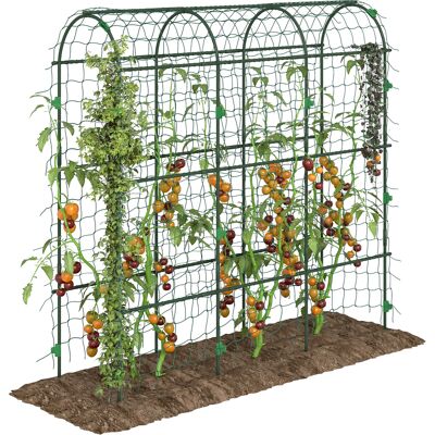 ARRIGONI Grand Arche De Jardin Pour Plantes Grimpantes Filet De Protection Montage Facile Metal 43 X 182 X 183 Cm - Publicité ARRIGONI Grand Arche De Jardin Pour Plantes Grimpantes Filet De Protection Montage Facile Metal 43 X 182 X 183 Cm - Publicité
