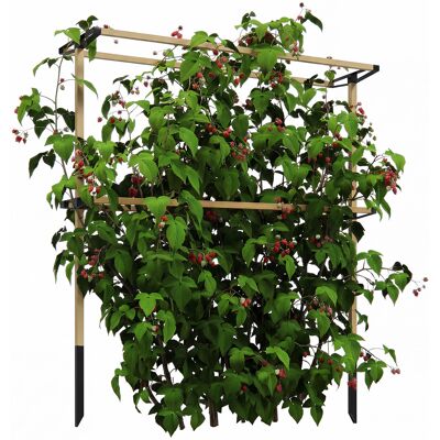 ARRIGONI Treillis De Jardin Metallique Flexible Pour Baies Et Plantes Grimpantes - Publicité ARRIGONI Treillis De Jardin Metallique Flexible Pour Baies Et Plantes Grimpantes - Publicité