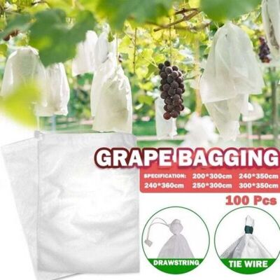 ABYSSE 100 Sac Protection Fruits Sacs Filets Protection Des Grappes De Raisins Contre Les Oiseaux Et Insectes Guêpes Frelons 30 X 20 Cm - Publicité ABYSSE 100 Sac Protection Fruits Sacs Filets Protection Des Grappes De Raisins Contre Les Oiseaux Et Insectes Guêpes Frelons 30 X 20 Cm - Publicité