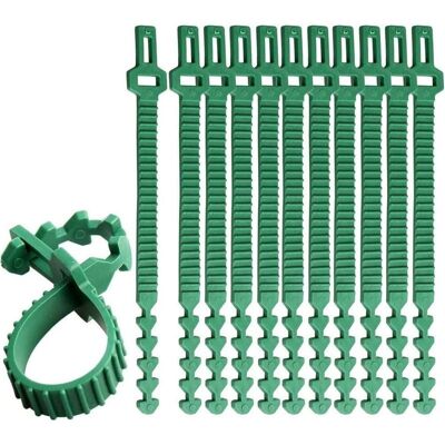 Vision 10 Pièces À Toute Épreuve Attaches Végétales, 24cm Bretelles Ajustables Pour Arbres Liens Pour Plantes De Jardin Interlock Pour Le Support De Rosier Arbustif - Publicité Vision 10 Pièces À Toute Épreuve Attaches Végétales, 24cm Bretelles Ajustables Pour Arbres Liens Pour Plantes De Jardin Interlock Pour Le Support De Rosier Arbustif - Publicité