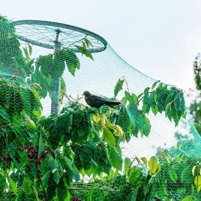 Cellfast Leu Anti-oiseaux Filet De Volière Maille 4x10m Protection Pour Plante Légume Fruit Étang Jardin - Publicité Cellfast Leu Anti-oiseaux Filet De Volière Maille 4x10m Protection Pour Plante Légume Fruit Étang Jardin - Publicité