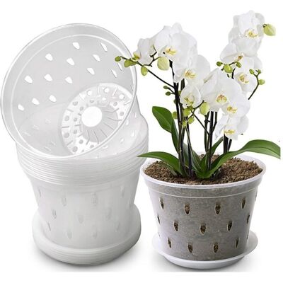 PELTOR Pots D'Orchidées En Plastique De 5 Pouces, Sans Plateau, Pots De Plantation D'Orchidées Transparents, Pots En Filet De Contrôle Des Racines Des Plantes Avec Trous, 10 Pièces - Publicité PELTOR Pots D'Orchidées En Plastique De 5 Pouces, Sans Plateau, Pots De Plantation D'Orchidées Transparents, Pots En Filet De Contrôle Des Racines Des Plantes Avec Trous, 10 Pièces - Publicité