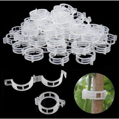 SCORPIO Attache Tomate, 300 Pcs Tuteur Grimpante Support Pour Plante Grimpantes, Clips Pour Jardinage Et Potager - Publicité SCORPIO Attache Tomate, 300 Pcs Tuteur Grimpante Support Pour Plante Grimpantes, Clips Pour Jardinage Et Potager - Publicité