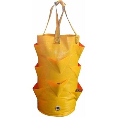 BRINSEA Plantation À Fraise À Conteneur Multi-bouche Poussant Pochette Pochette Plante Plante Culture Pot Side Jardin Outil - Publicité BRINSEA Plantation À Fraise À Conteneur Multi-bouche Poussant Pochette Pochette Plante Plante Culture Pot Side Jardin Outil - Publicité