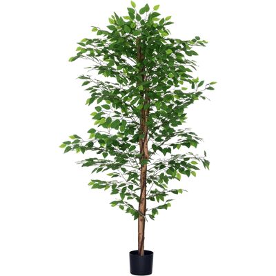 Generic Plante Artificielle Ficus Hauteur 1,80 M Tronc Branches Liane Lichen Feuilles Grand Réalisme Pot Inclus Vert - Publicité Generic Plante Artificielle Ficus Hauteur 1,80 M Tronc Branches Liane Lichen Feuilles Grand Réalisme Pot Inclus Vert - Publicité