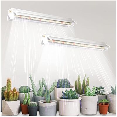 Vision Lampes De Croissance T5 Pour Plantes D'Intérieur, Lot De 2 (10w X 2), 42cm, Led À Spectre Complet Avec Réflecteurs Pour Semis, Lampes De Croissance Pour Étagères. Publicité Vision Lampes De Croissance T5 Pour Plantes D'Intérieur, Lot De 2 (10w X 2), 42cm, Led À Spectre Complet Avec Réflecteurs Pour Semis, Lampes De Croissance Pour Étagères. Publicité