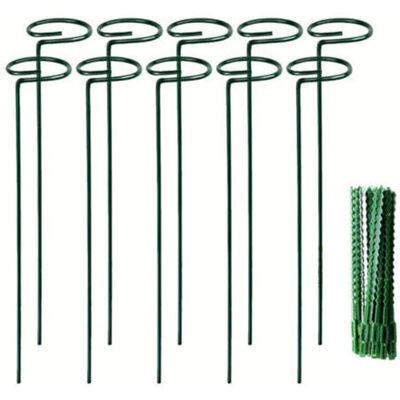 Vision Lot De 10 Tuteurs Pour Plantes, 40 Cm, Avec 20 Attaches Torsadées, Pour Pivoines, Amaryllis, Soucis, Coréopsis, Plants De Tomates, Jeunes Arbres, Etc. Publicité Vision Lot De 10 Tuteurs Pour Plantes, 40 Cm, Avec 20 Attaches Torsadées, Pour Pivoines, Amaryllis, Soucis, Coréopsis, Plants De Tomates, Jeunes Arbres, Etc. Publicité