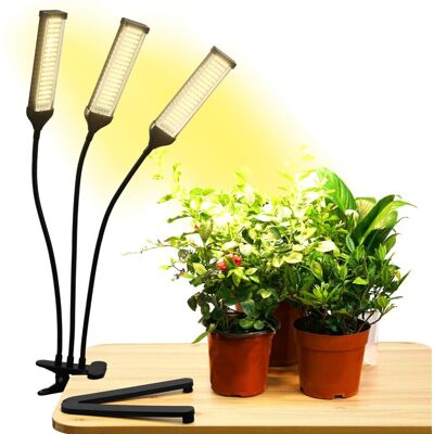 BRINSEA Lampes Pour Plantes D'Intérieur, Lampes De Croissance D'Intérieur À Spectre Complet Avec Minuterie - Publicité BRINSEA Lampes Pour Plantes D'Intérieur, Lampes De Croissance D'Intérieur À Spectre Complet Avec Minuterie - Publicité